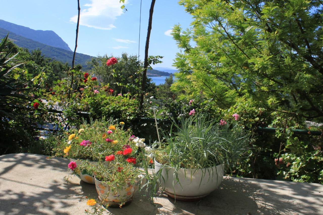 Apartments And Rooms With Parking Space Tucepi, Makarska - 6901 Extérieur photo
